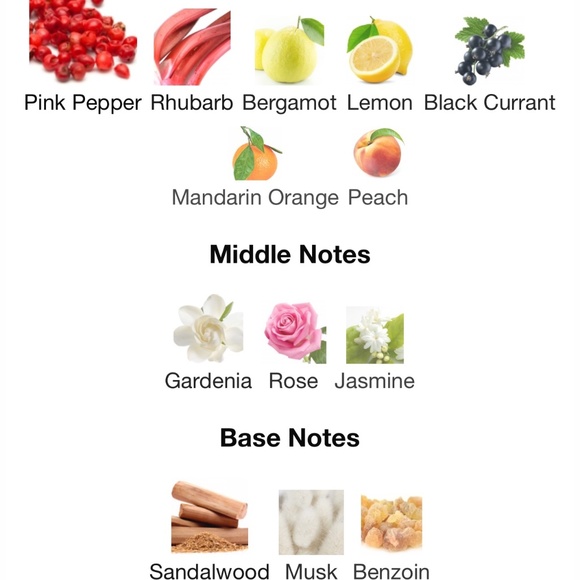 Notebook Cassis & Pink Pepper 100ml ITALY, NEW in BOX! - Picture 8 of 13